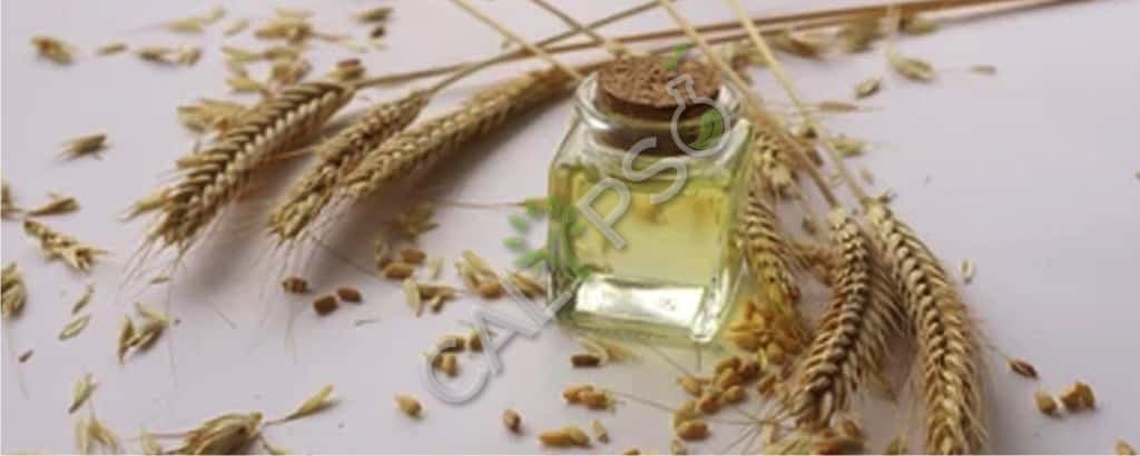 Koop 100% pure wheatgerm carrier etherische olie voor de huid
